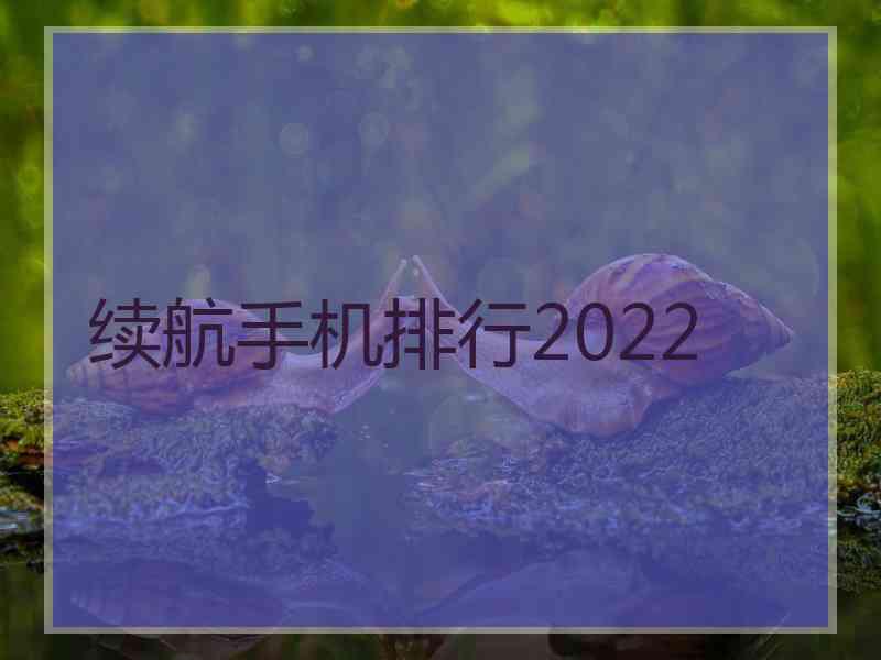 续航手机排行2022