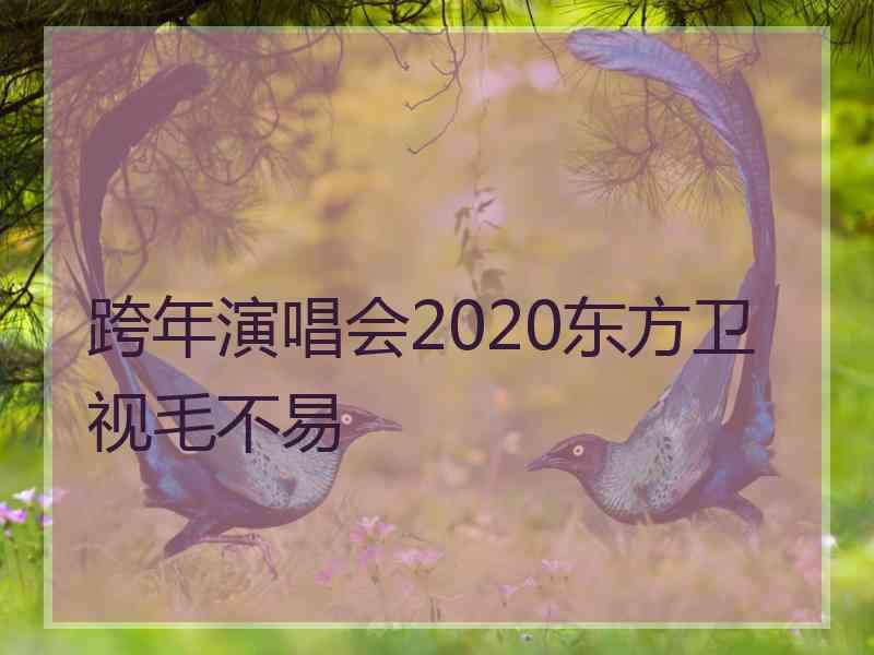 跨年演唱会2020东方卫视毛不易