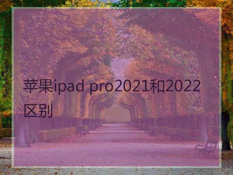 苹果ipad pro2021和2022区别