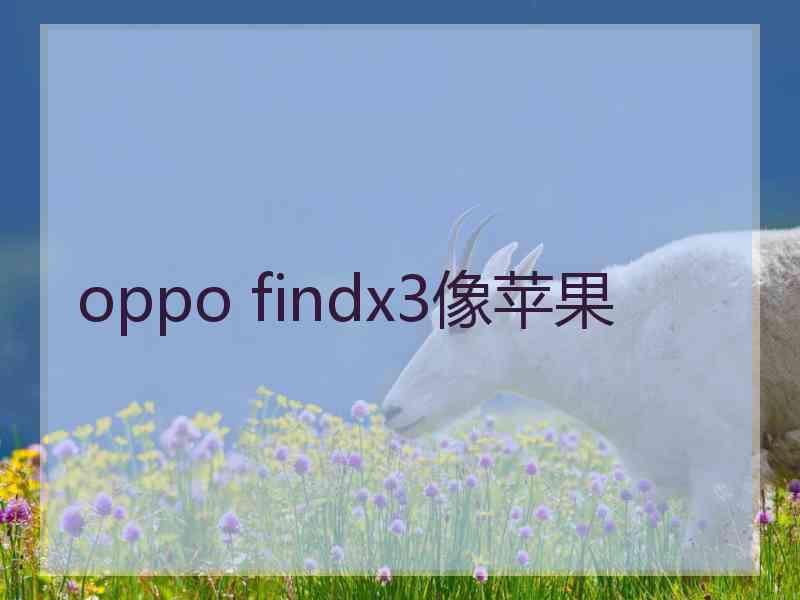 oppo findx3像苹果