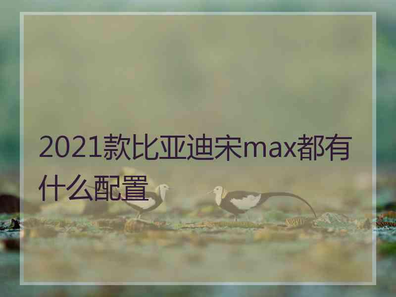 2021款比亚迪宋max都有什么配置