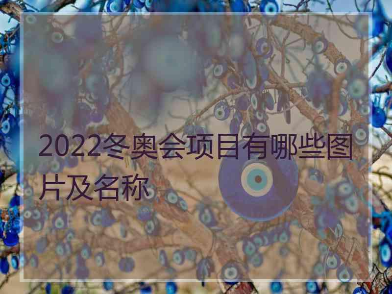 2022冬奥会项目有哪些图片及名称