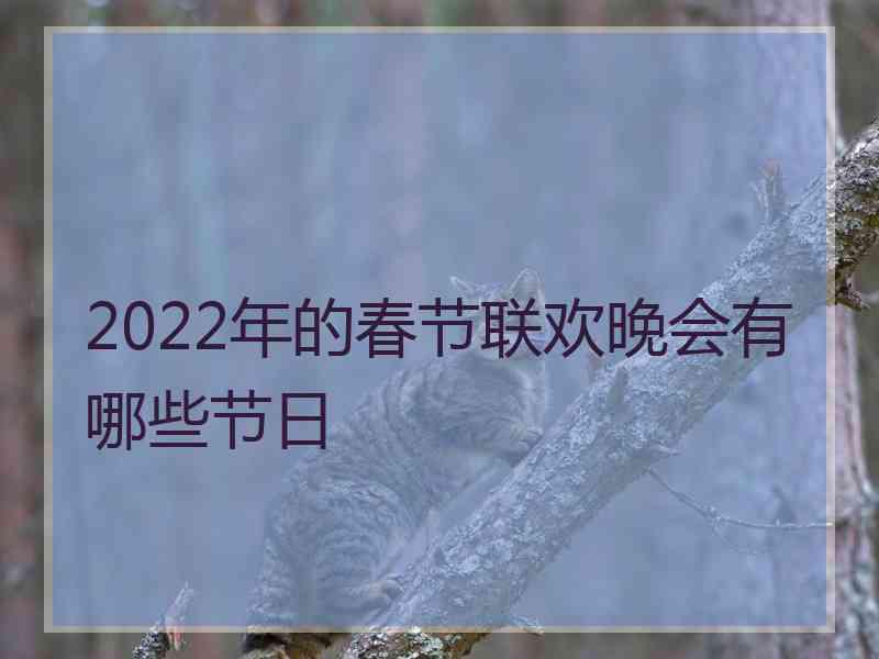 2022年的春节联欢晚会有哪些节日