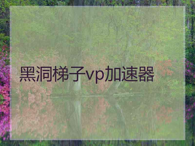 黑洞梯子vp加速器