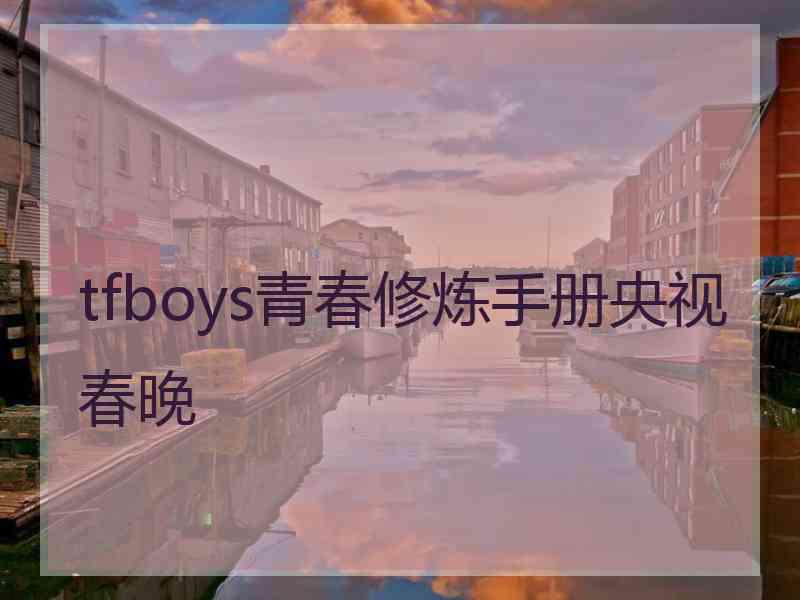 tfboys青春修炼手册央视春晚