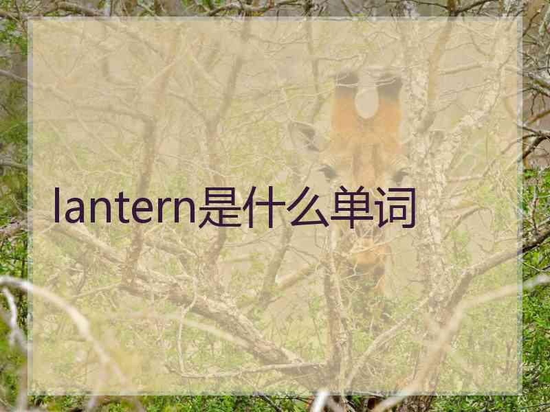 lantern是什么单词