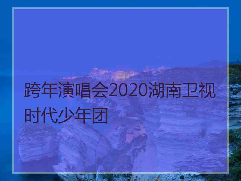 跨年演唱会2020湖南卫视时代少年团