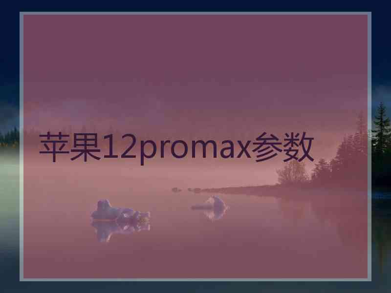 苹果12promax参数