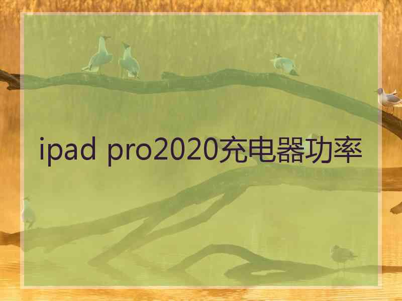 ipad pro2020充电器功率