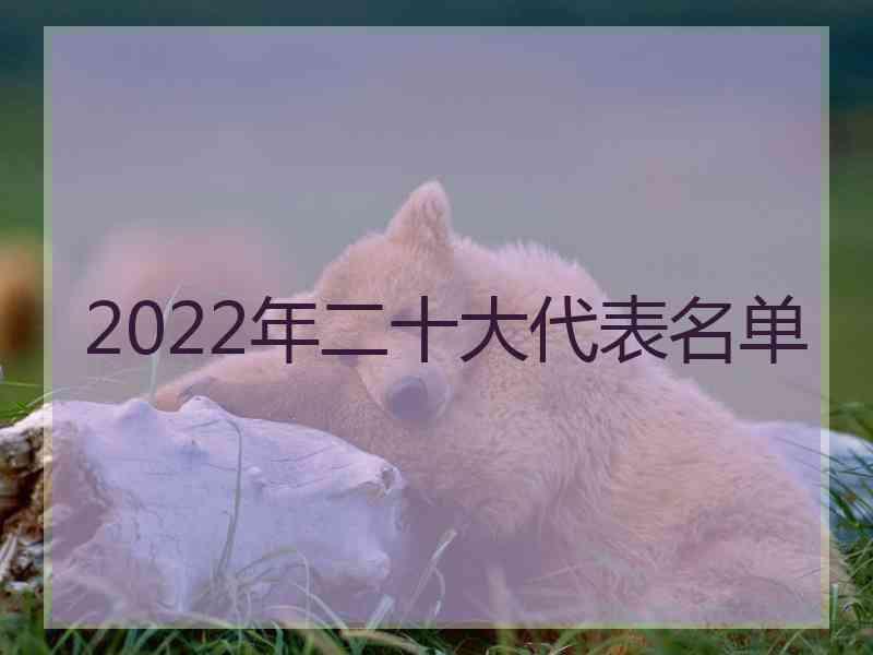 2022年二十大代表名单