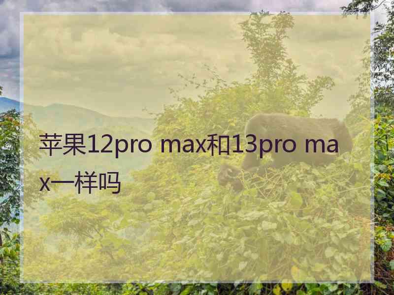 苹果12pro max和13pro max一样吗