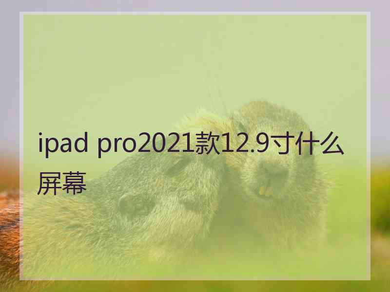 ipad pro2021款12.9寸什么屏幕