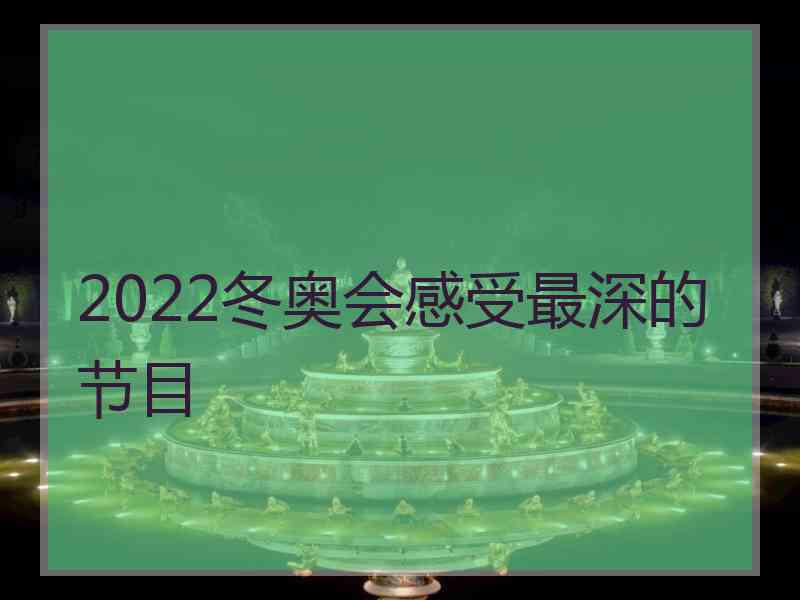 2022冬奥会感受最深的节目