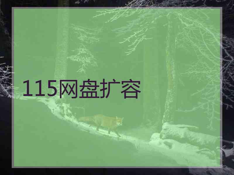 115网盘扩容