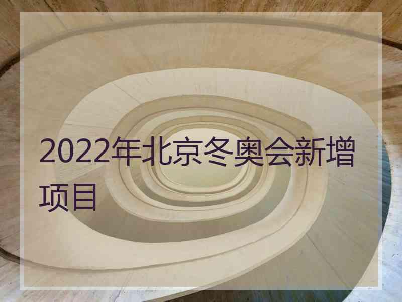 2022年北京冬奥会新增项目