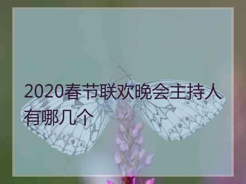 2020春节联欢晚会主持人有哪几个