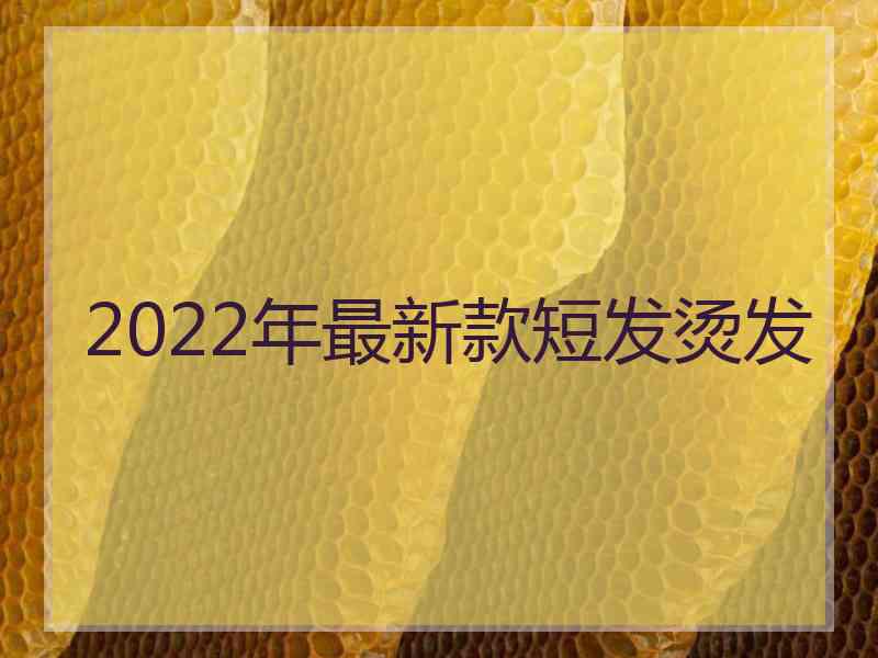 2022年最新款短发烫发