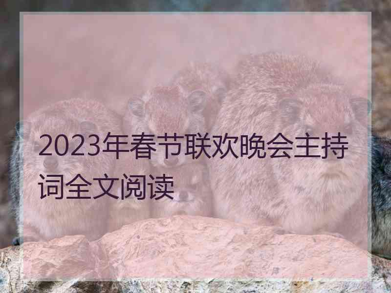 2023年春节联欢晚会主持词全文阅读