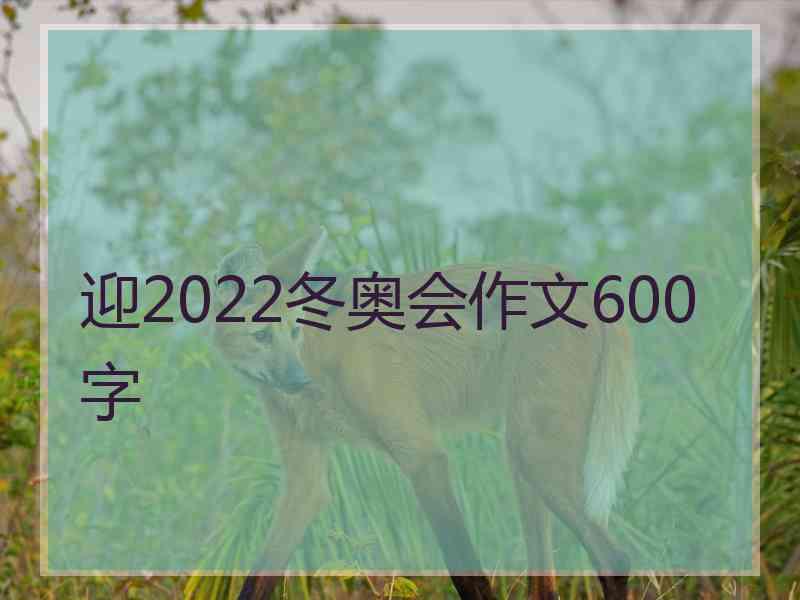 迎2022冬奥会作文600字