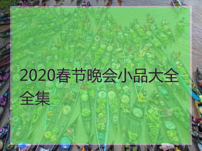 2020春节晚会小品大全全集