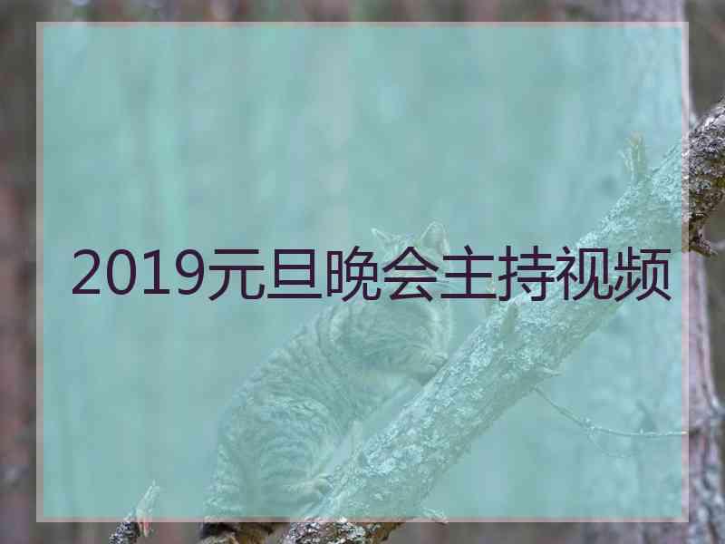 2019元旦晚会主持视频