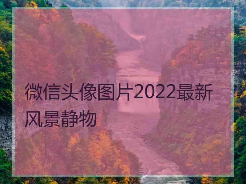 微信头像图片2022最新风景静物