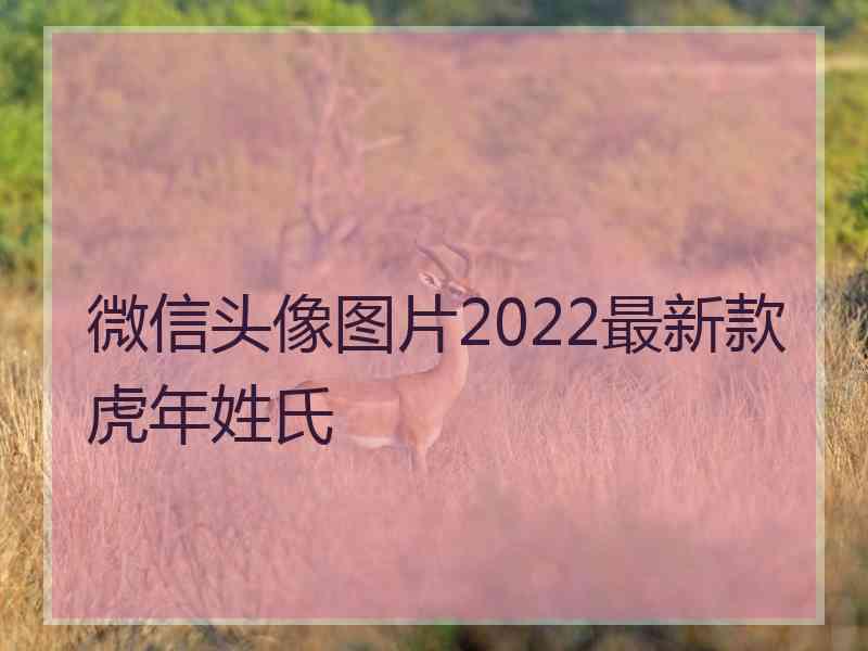 微信头像图片2022最新款虎年姓氏