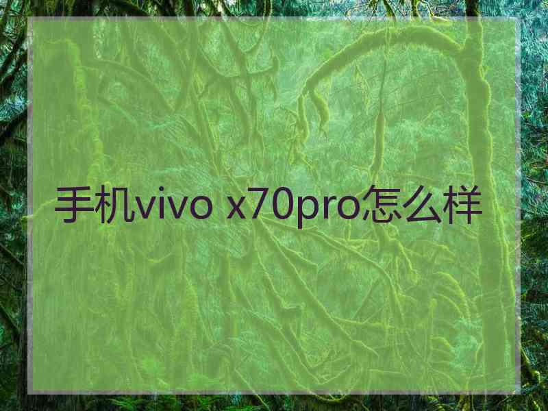 手机vivo x70pro怎么样