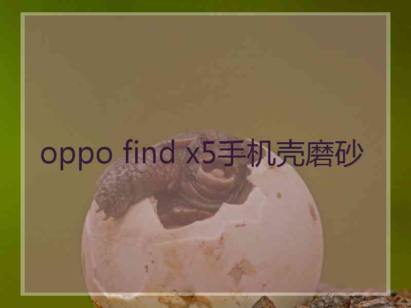 oppo find x5手机壳磨砂