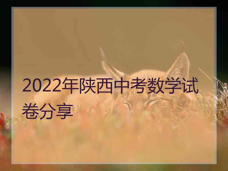 2022年陕西中考数学试卷分享