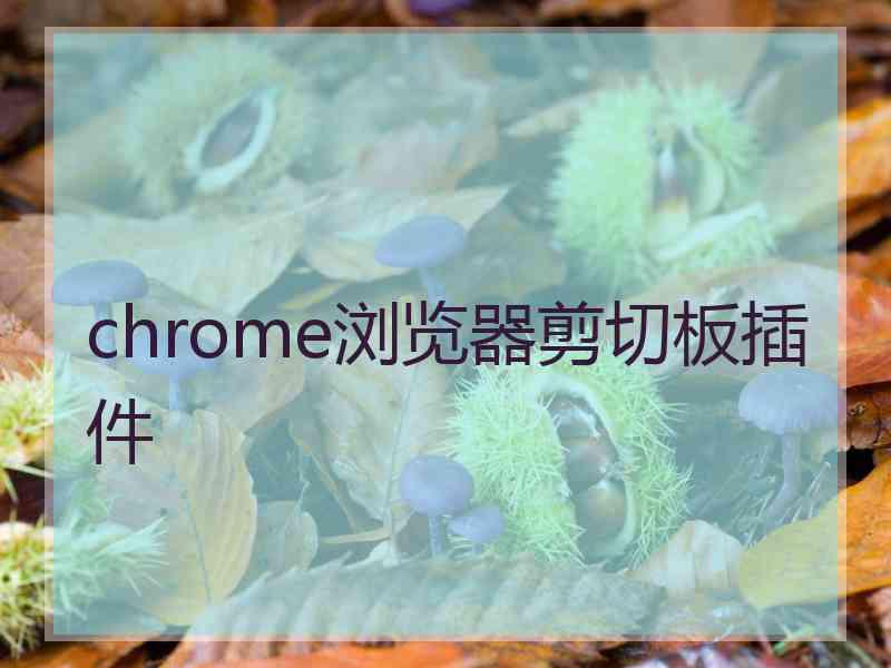 chrome浏览器剪切板插件