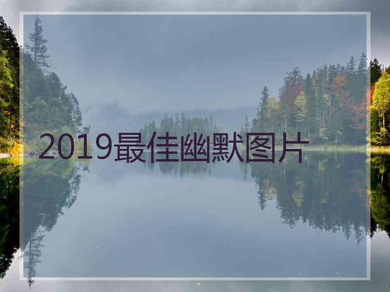 2019最佳幽默图片