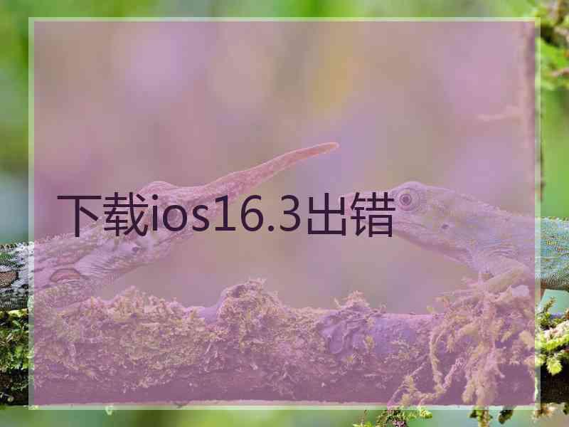 下载ios16.3出错