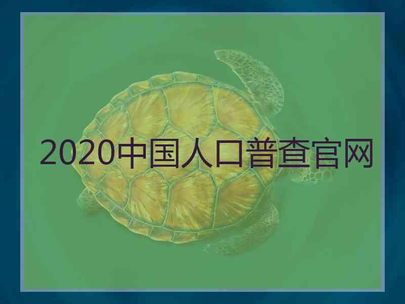 2020中国人口普查官网