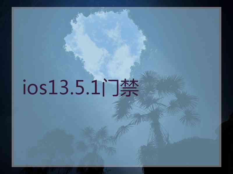 ios13.5.1门禁