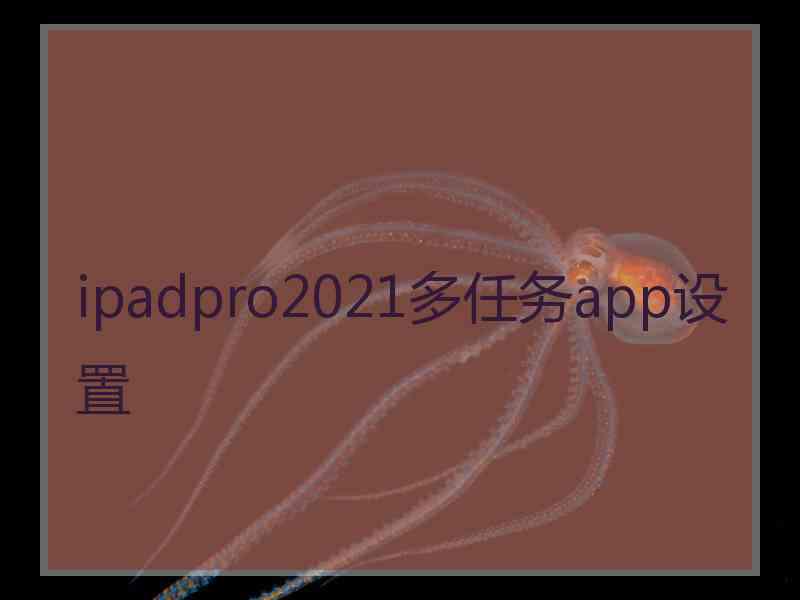 ipadpro2021多任务app设置