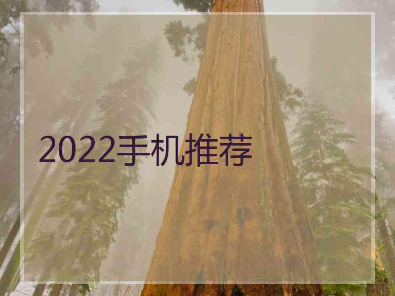 2022手机推荐