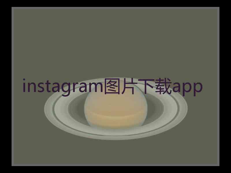 instagram图片下载app