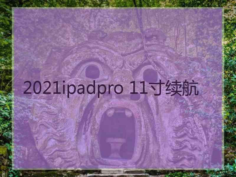 2021ipadpro 11寸续航