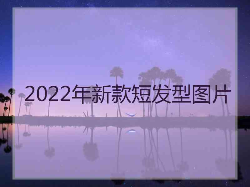 2022年新款短发型图片