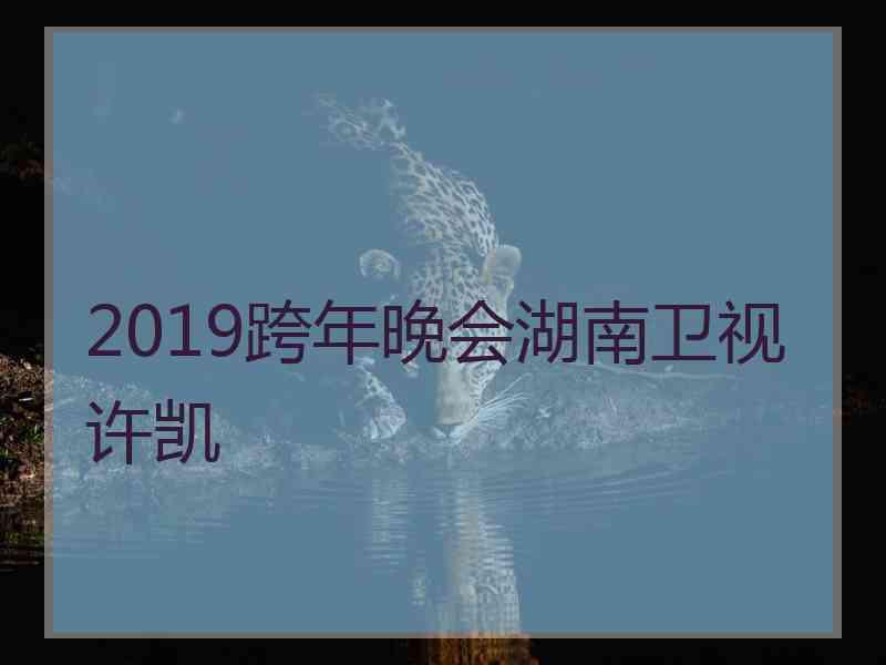 2019跨年晚会湖南卫视许凯