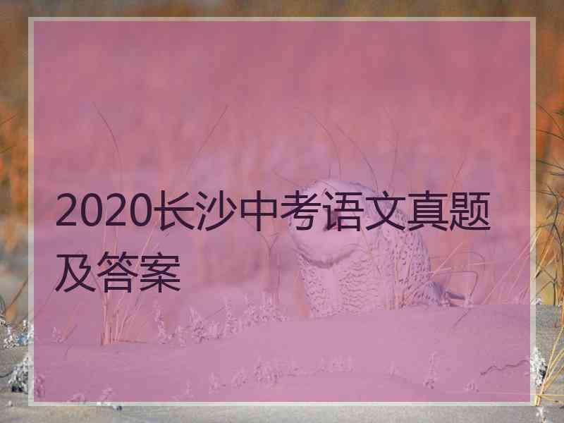 2020长沙中考语文真题及答案