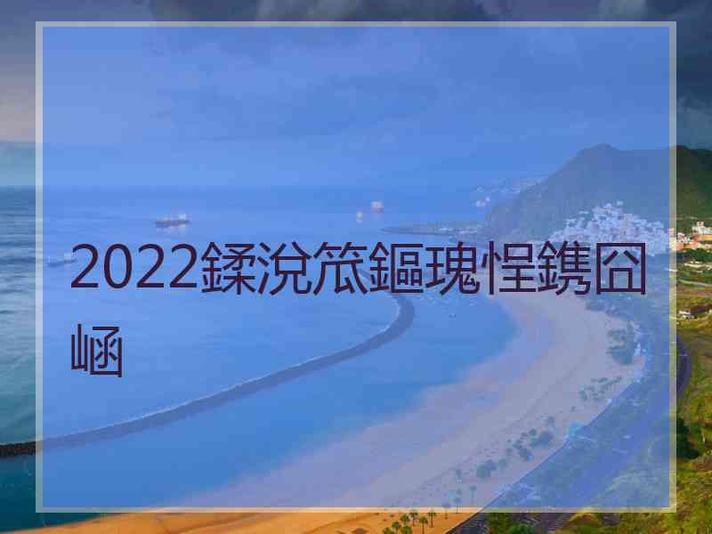 2022鍒涗笟鏂瑰悜鎸囧崡