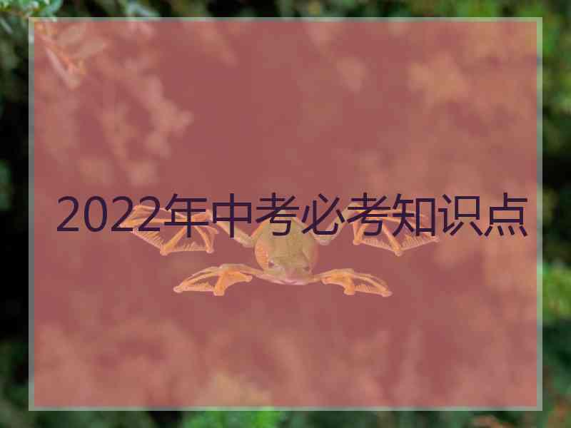 2022年中考必考知识点