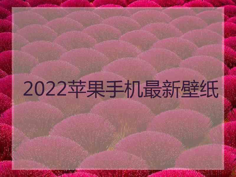 2022苹果手机最新壁纸