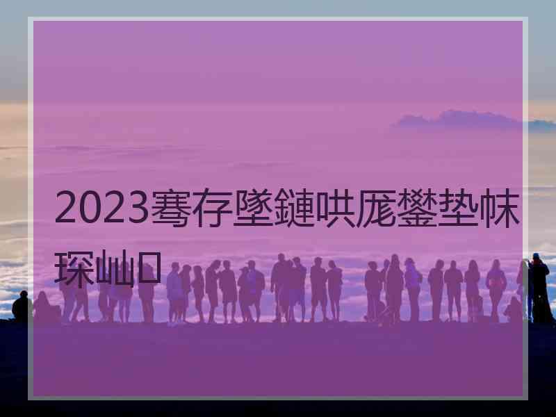 2023骞存墜鏈哄厖鐢垫帓琛屾