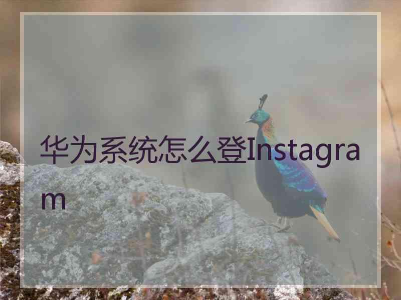 华为系统怎么登Instagram