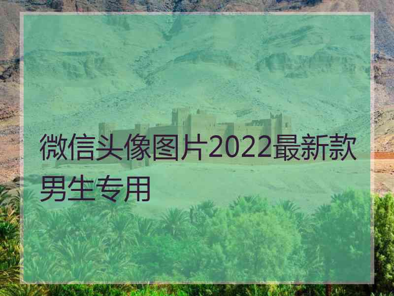 微信头像图片2022最新款男生专用