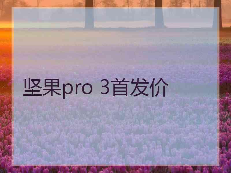 坚果pro 3首发价