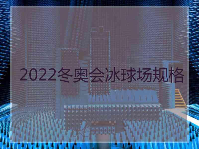 2022冬奥会冰球场规格